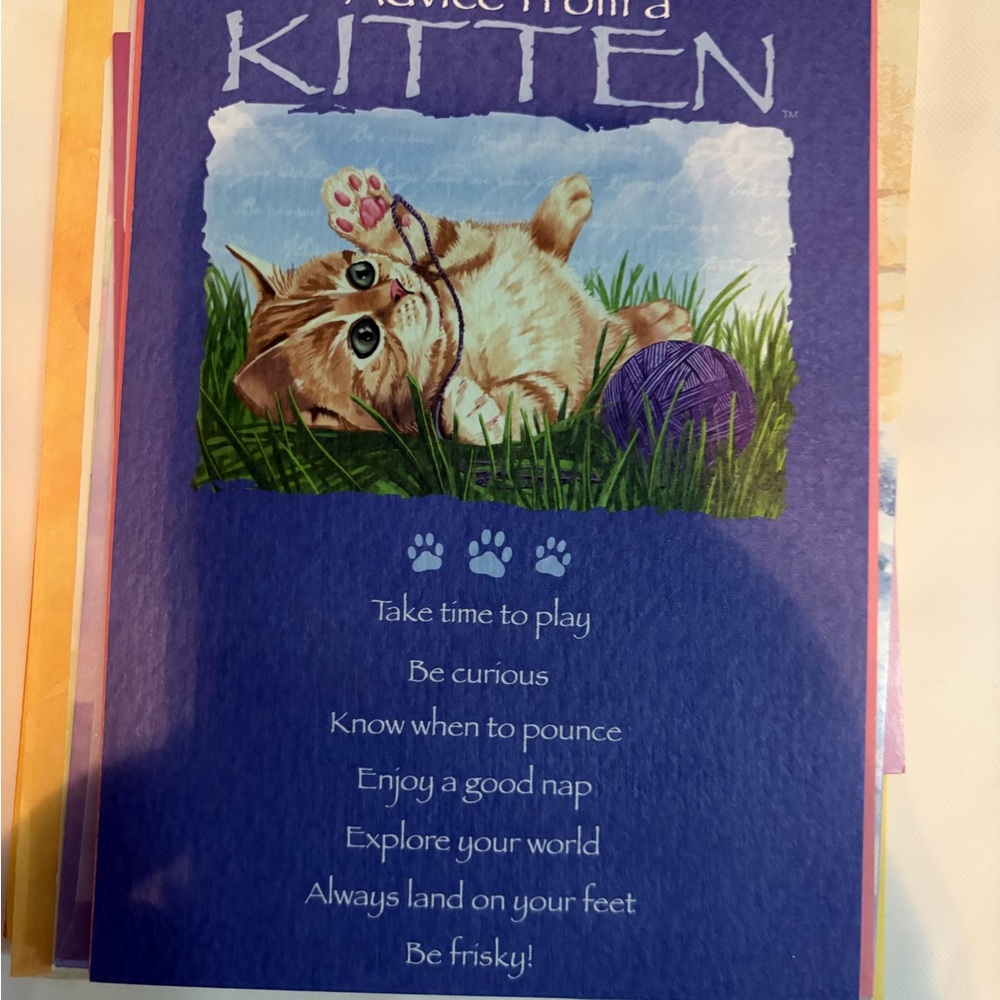 Leanin Tree Cat Greeting Cards • Funny & Cute Mixed Designs • New w/ Envelopes